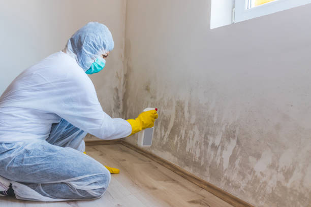 Licensed Crawl Space Mold Removal service in Shamokin, PA - WQB Mold Removal