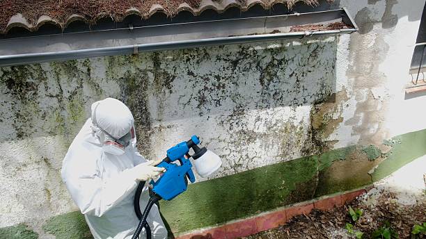 Top rated local Crawl Space Mold Removal specialists in Shamokin, PA